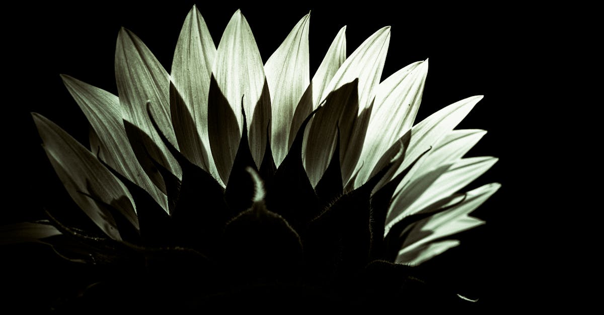 08 30天秤座每日運勢|平衡與機會並進 掌握今天的幸運密碼