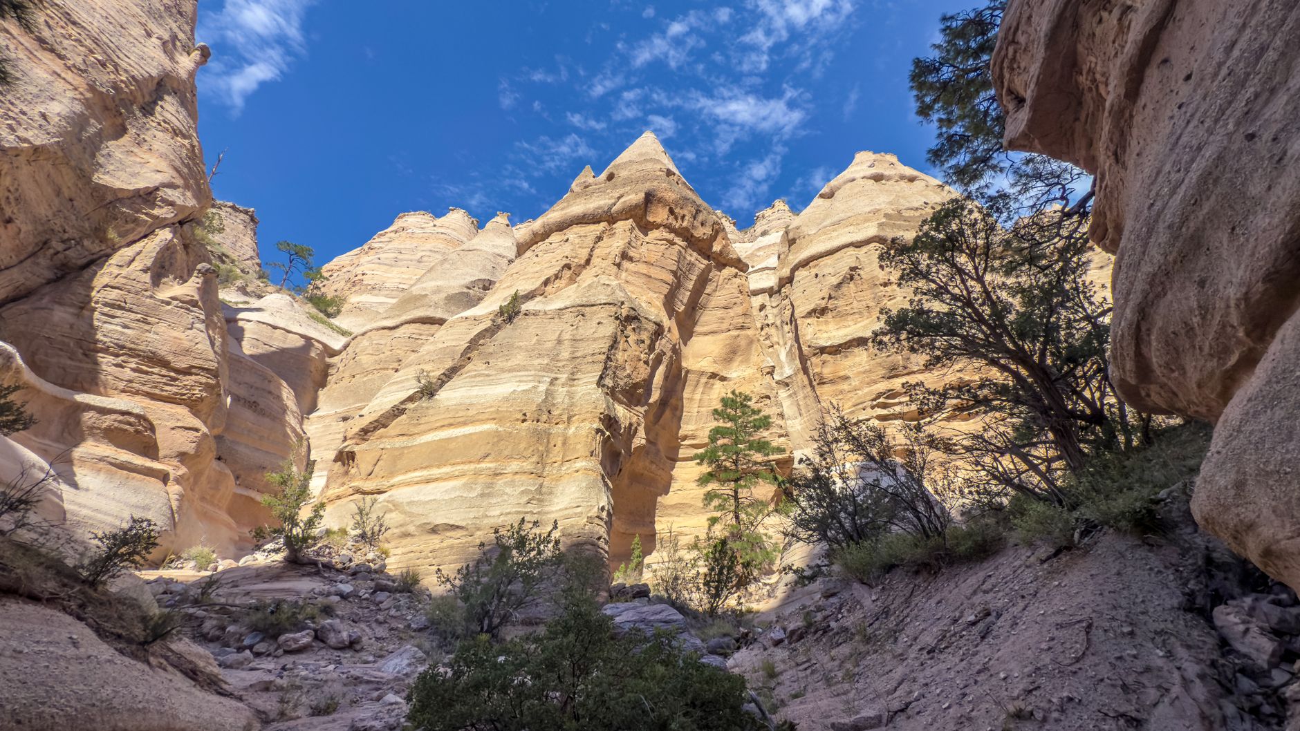 New Mexico photo 5