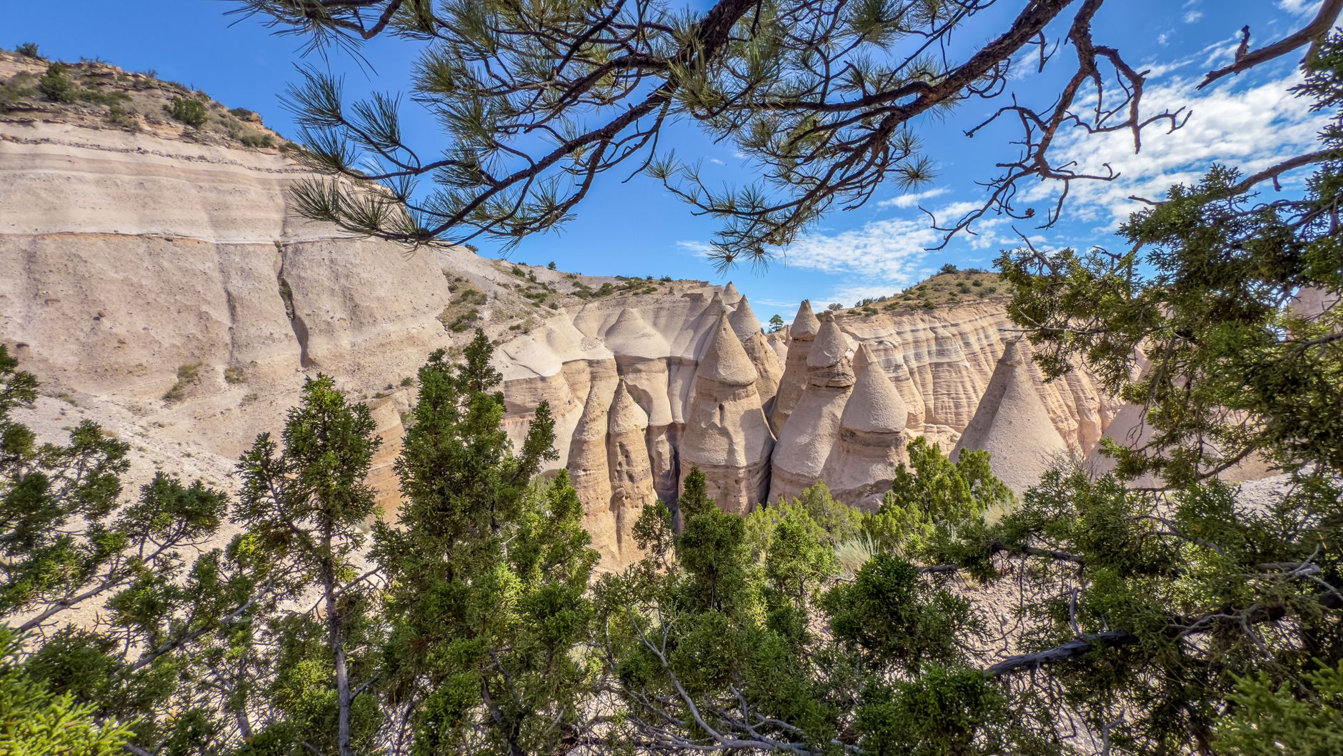 New Mexico photo 2