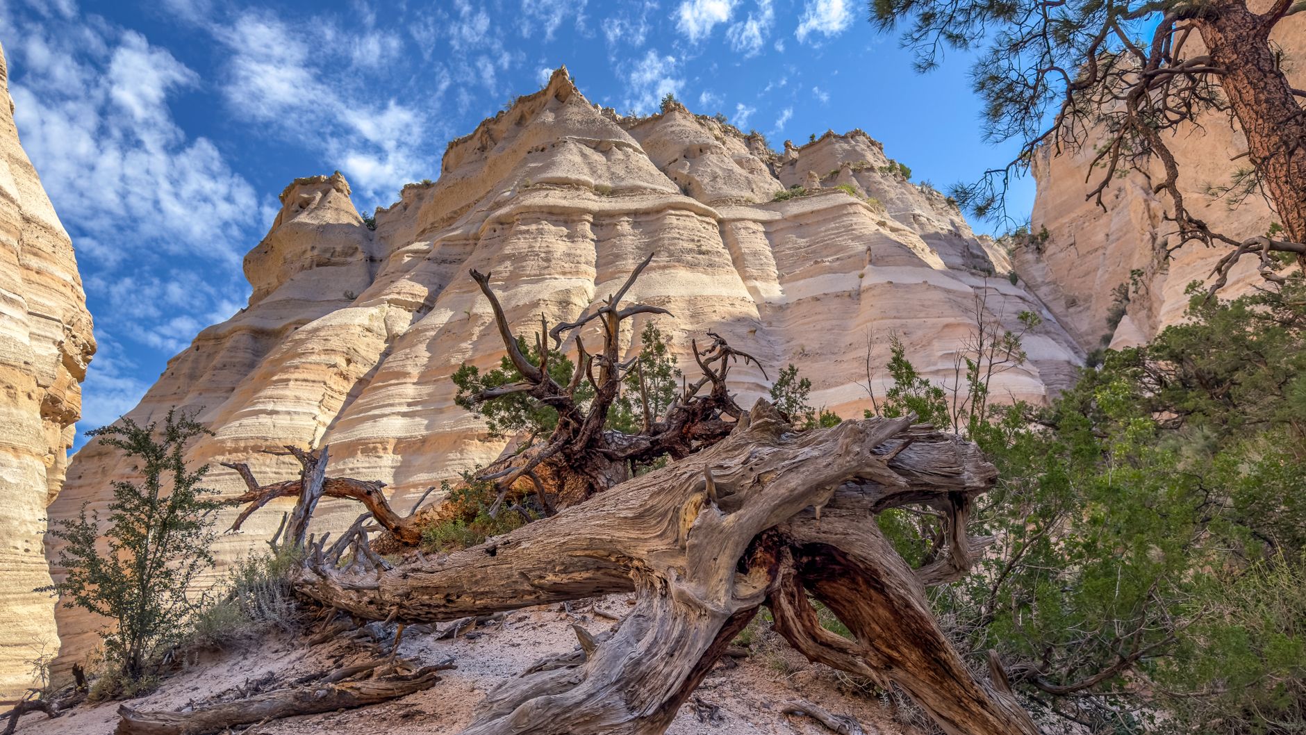 New Mexico photo 4