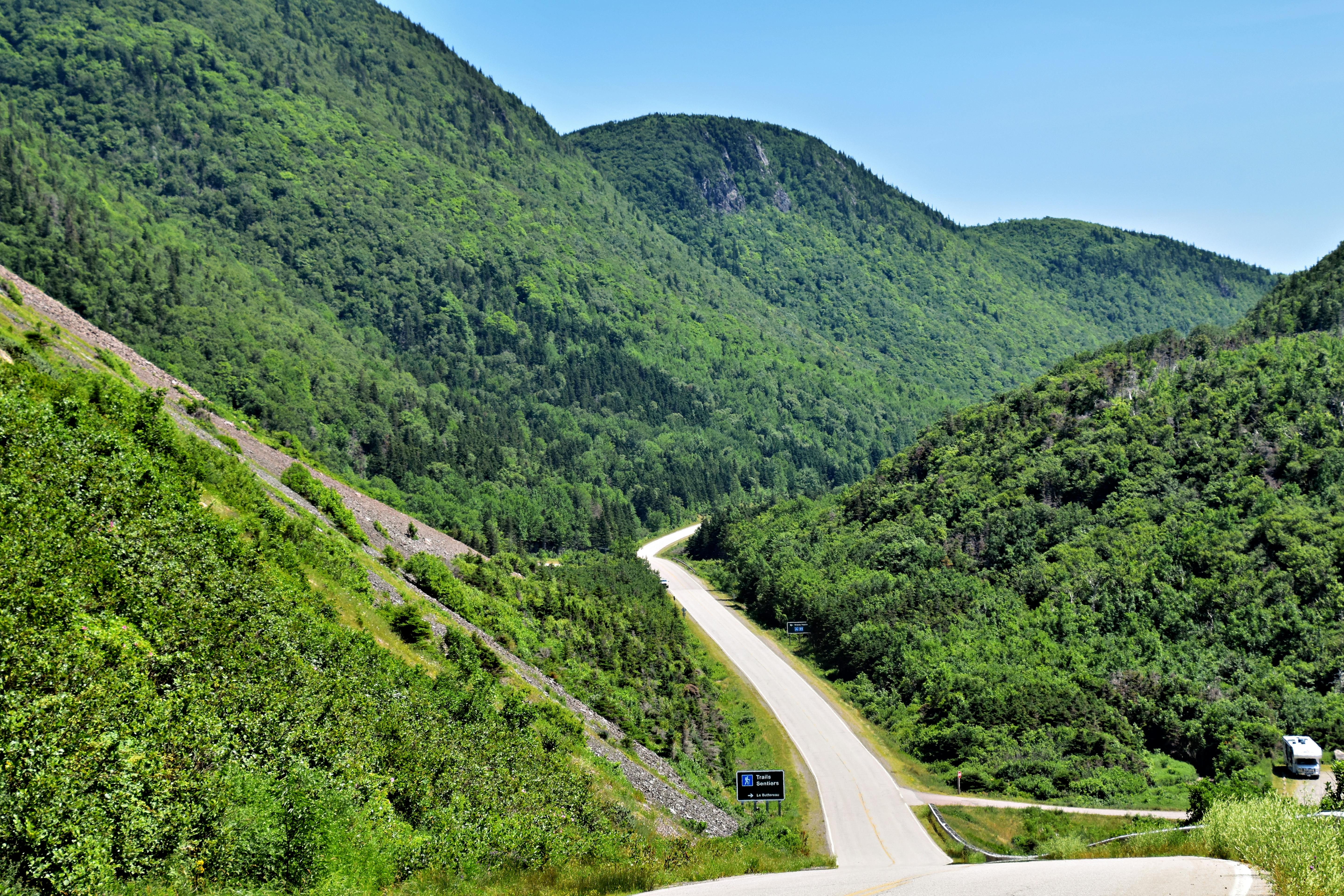 What if Canada Became the 51st State How Would that Impact Presidential Elections? — Photo by Jeffrey Eisen on Pexels