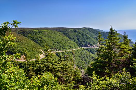 Lush greenery along the winding Cabot Trail in Nova Scotia, Canada, on a sunny day.