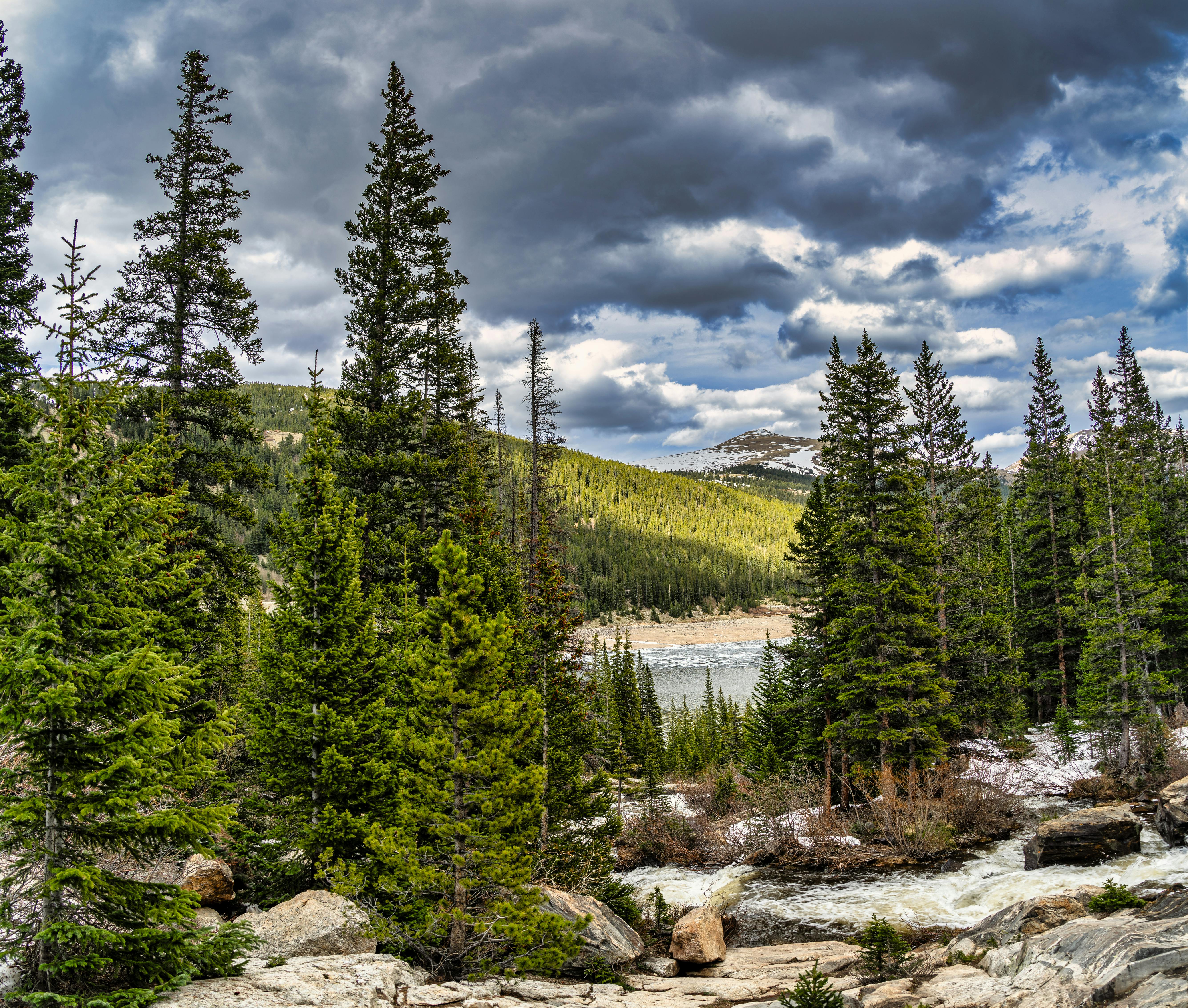 Scent and Seduction: Unveiling the Secrets Behind Attraction and Creating an Atmosphere with Natural Scents