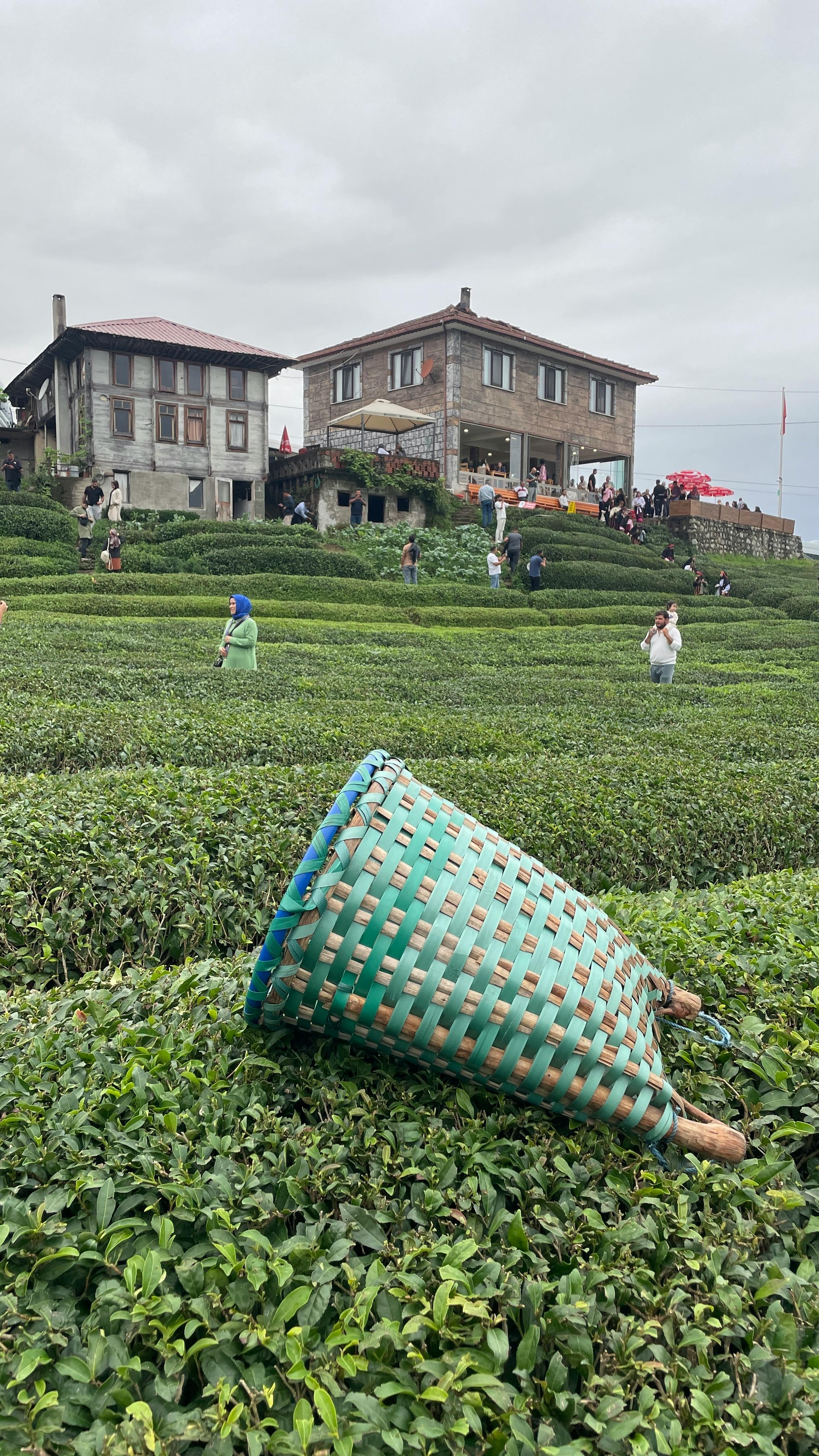 半導體製程如何平衡高科技與環境永續 專訪陳奕宏教授