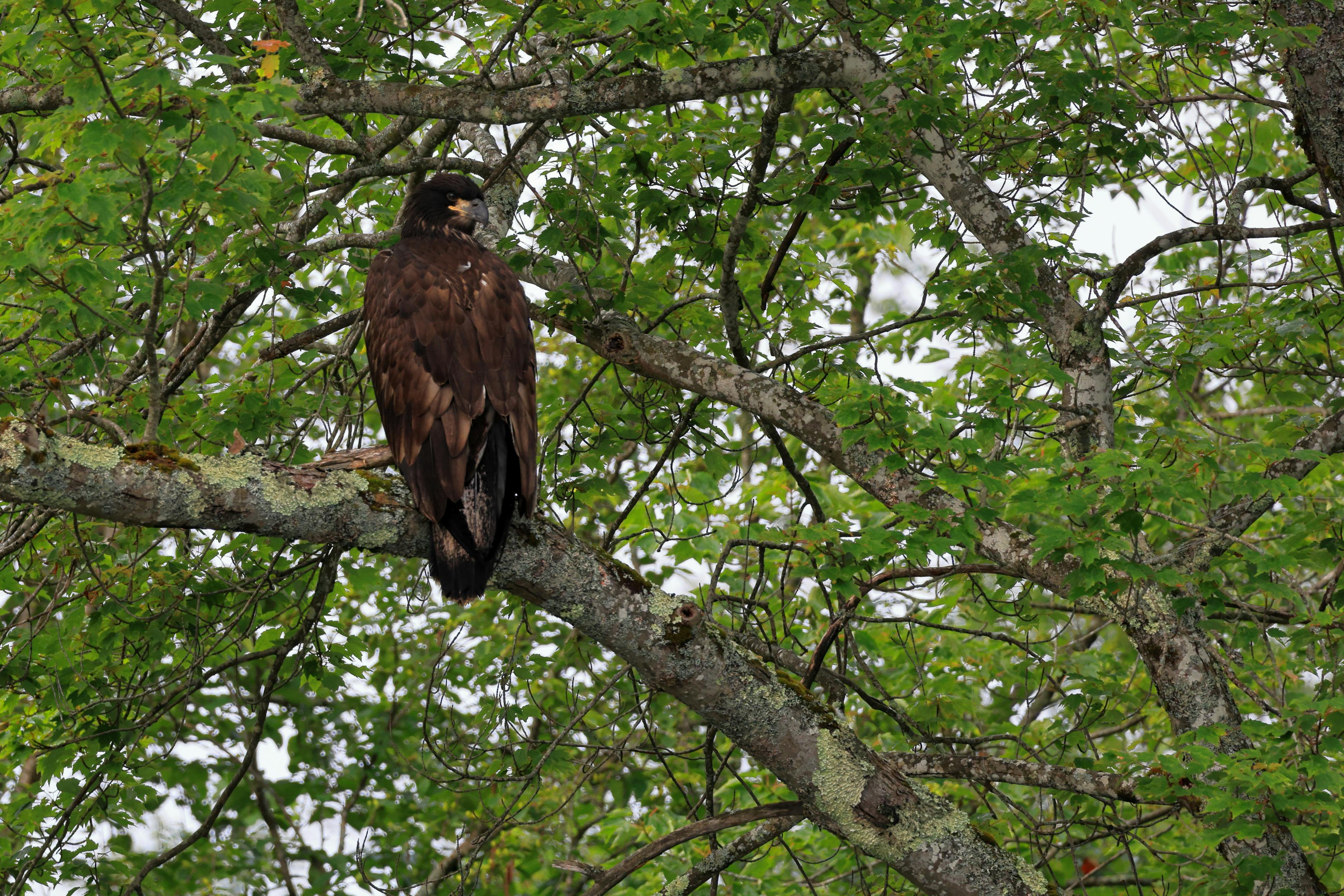 威力彩今晚衝11.2億元！💰💥