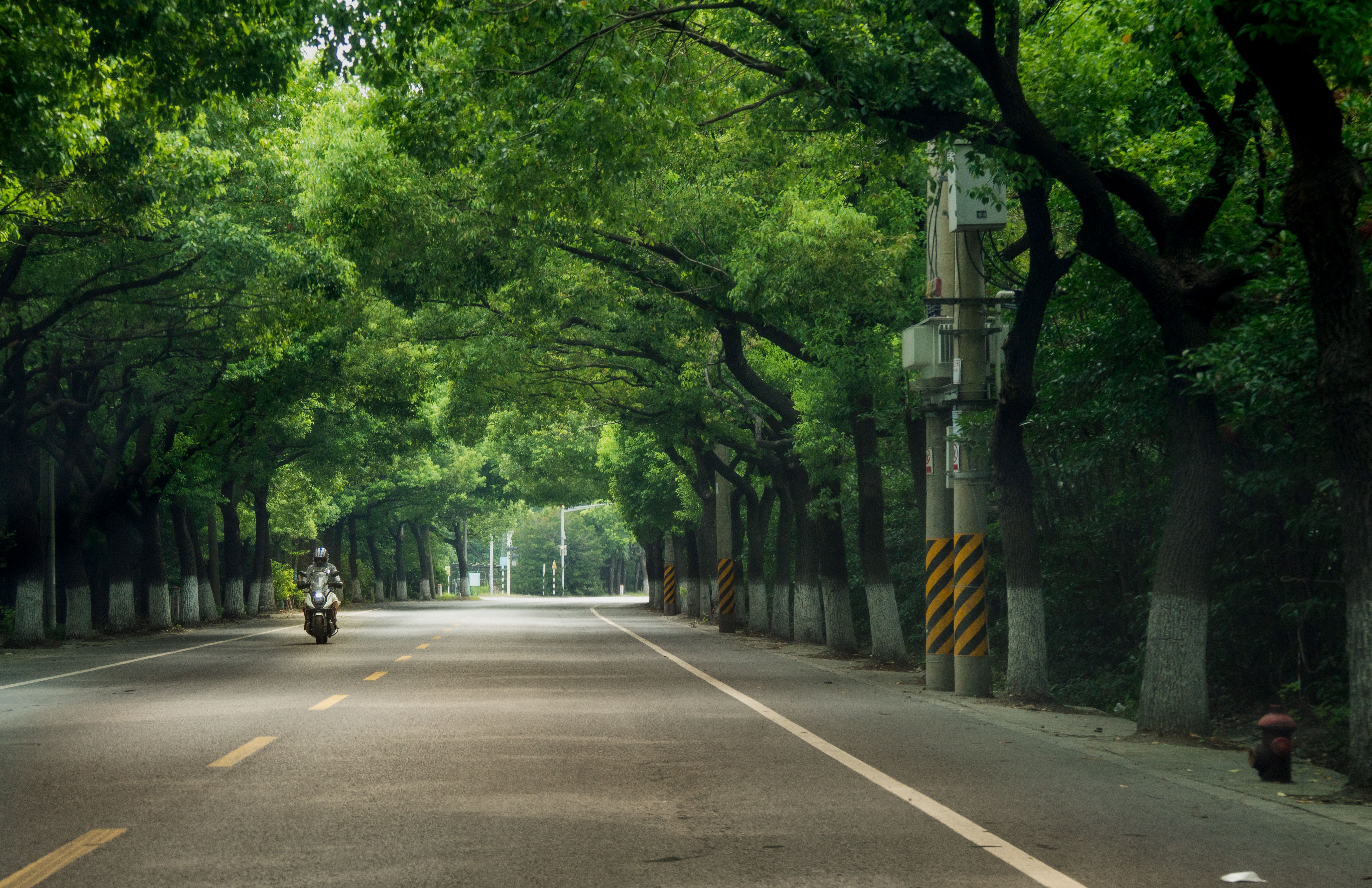The China-Gulf Green Rush: Fueling Renewable Energy Cooperation — Photo by 女子 正真 on Pexels