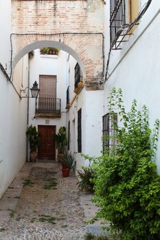 Explore a picturesque alleyway in Córdoba, showcasing old-world charm with cobblestones and greenery.
