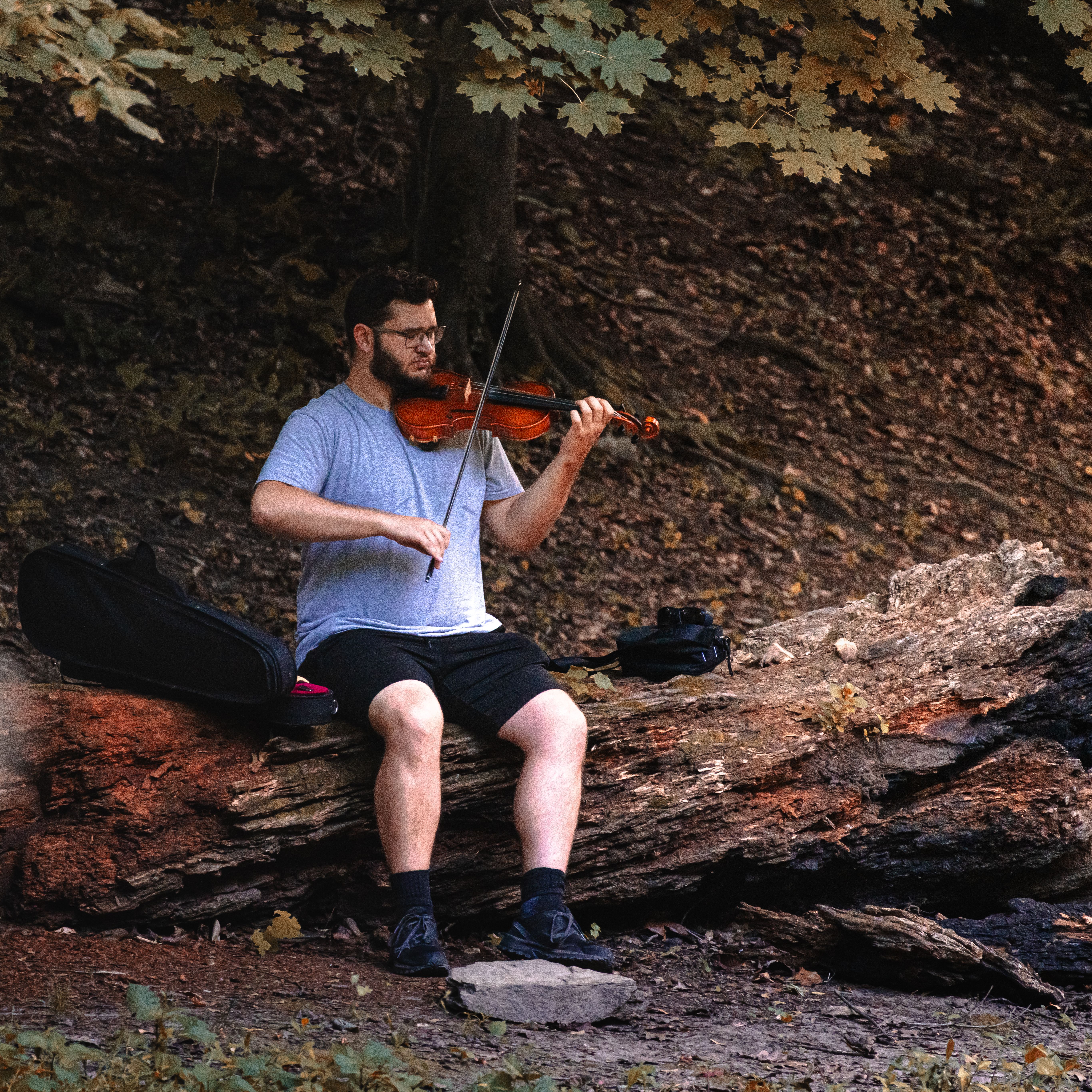A man plays violin while sitting on a fallen tree in a wooded area, creating a serene scene.