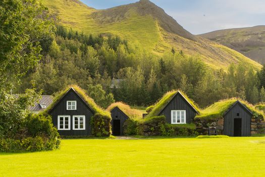 Explore the charm of traditional Icelandic turf houses surrounded by lush greenery and rolling hills.