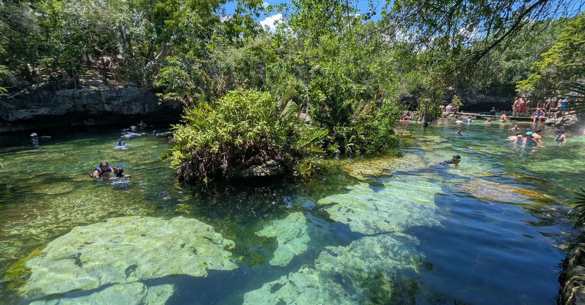 Swimmers enjoying a clear water cenote amidst lush greenery in Playa del Carmen, Mexico.
