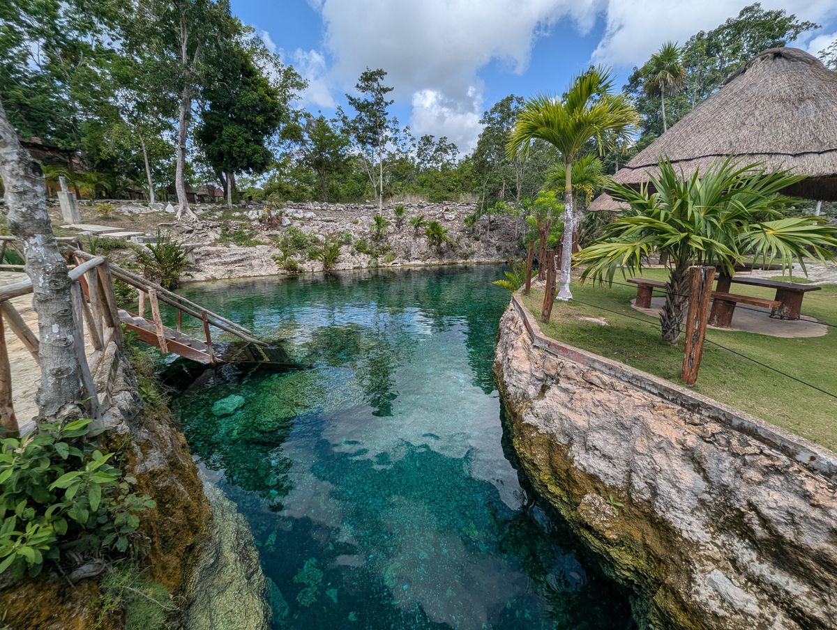 Piscina natural tranquila rodeada de exuberante vegetación en Tulum, México, perfecta para