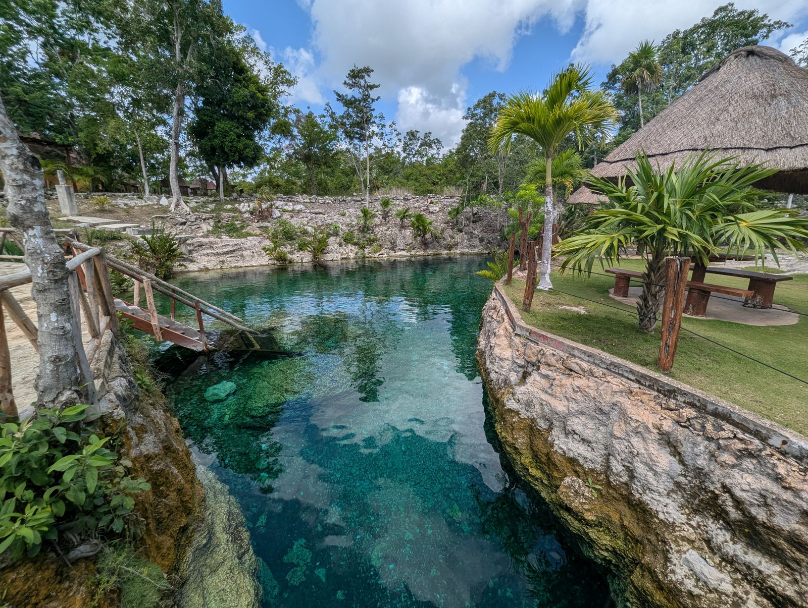 A scenic natural swimming pool fed by a cenote near Tulum