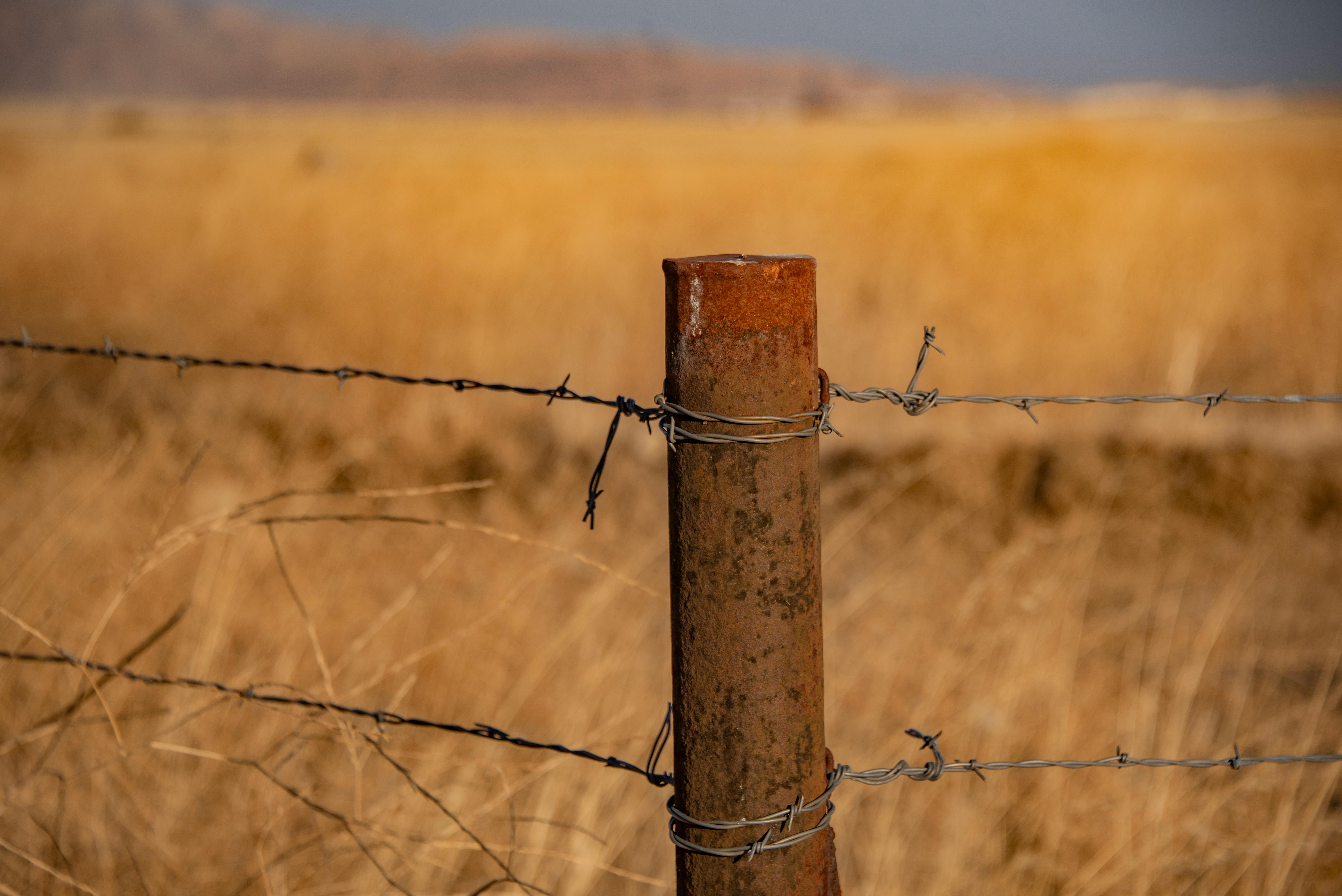 Cybersecurity in the Digital Age: Securing the Future