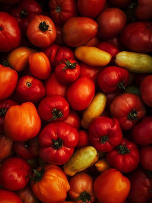 Close-up of assorted fresh red tomatoes with different shapes, perfect for cooking or salad.
