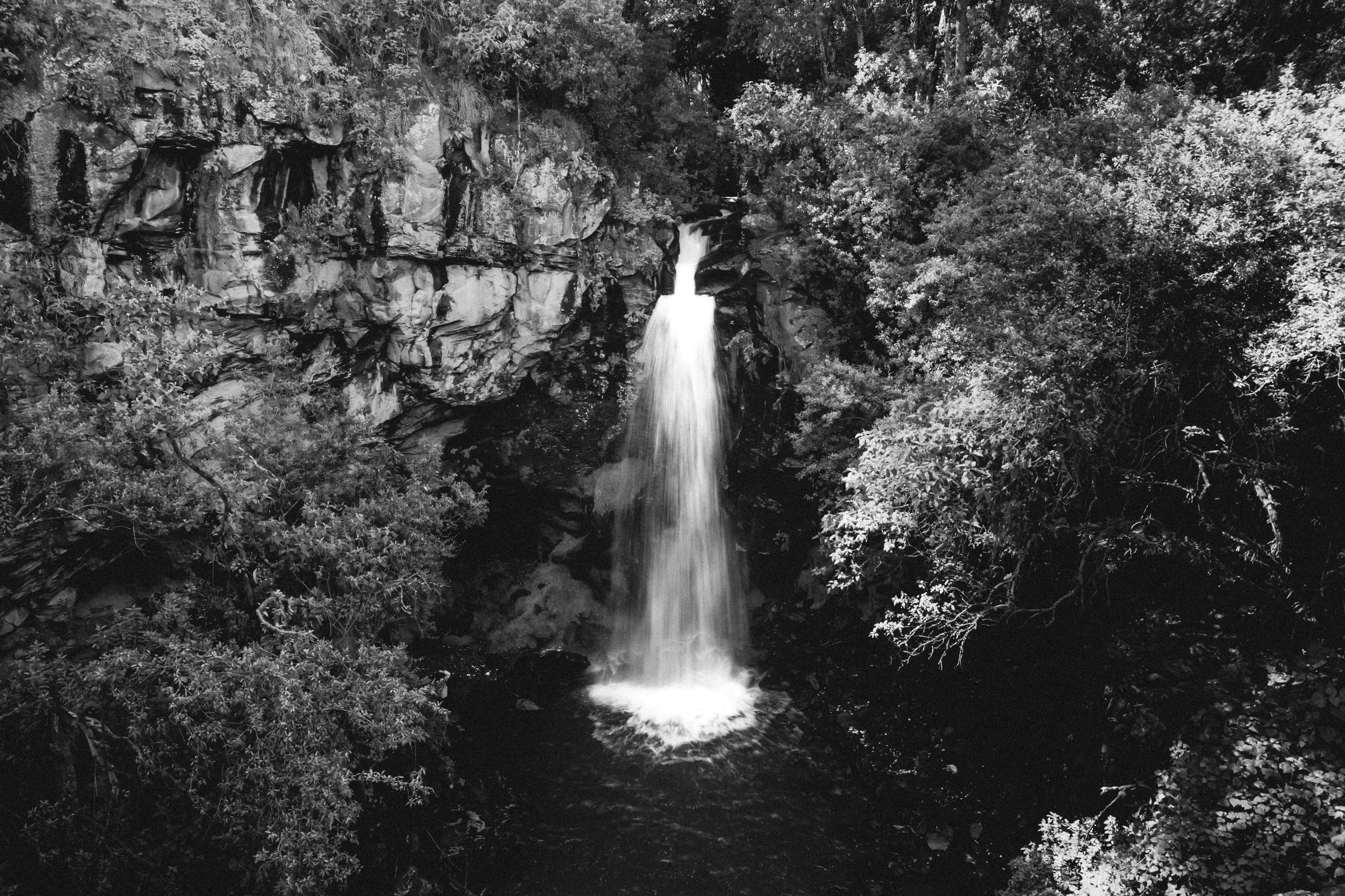 Dramatic black and white photograph of a waterfall surrounded by lush vegetation in Ocoyoacac, Mexico.