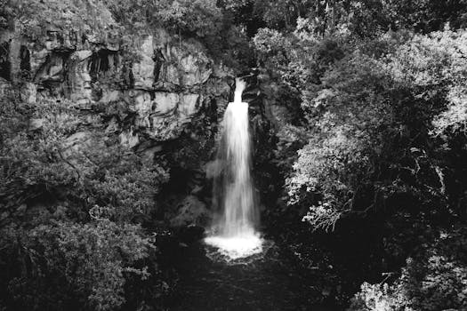 Dramatic black and white photograph of a waterfall surrounded by lush vegetation in Ocoyoacac, Mexico.