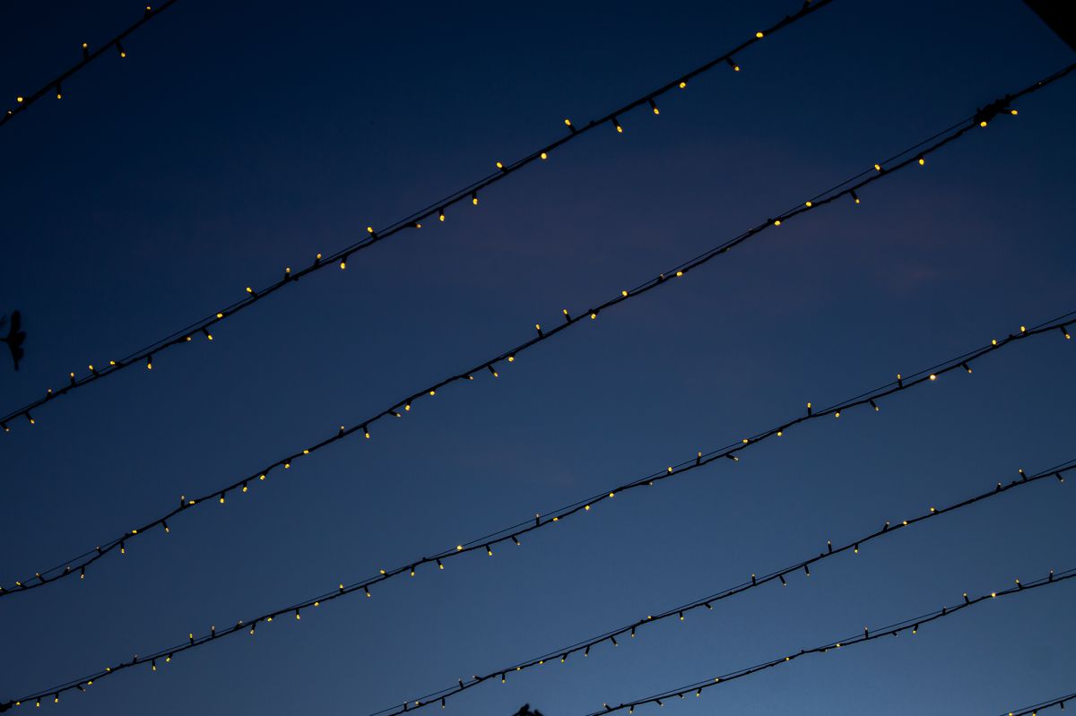 Strings of small festival lights hanging against a deep blue evening sky
