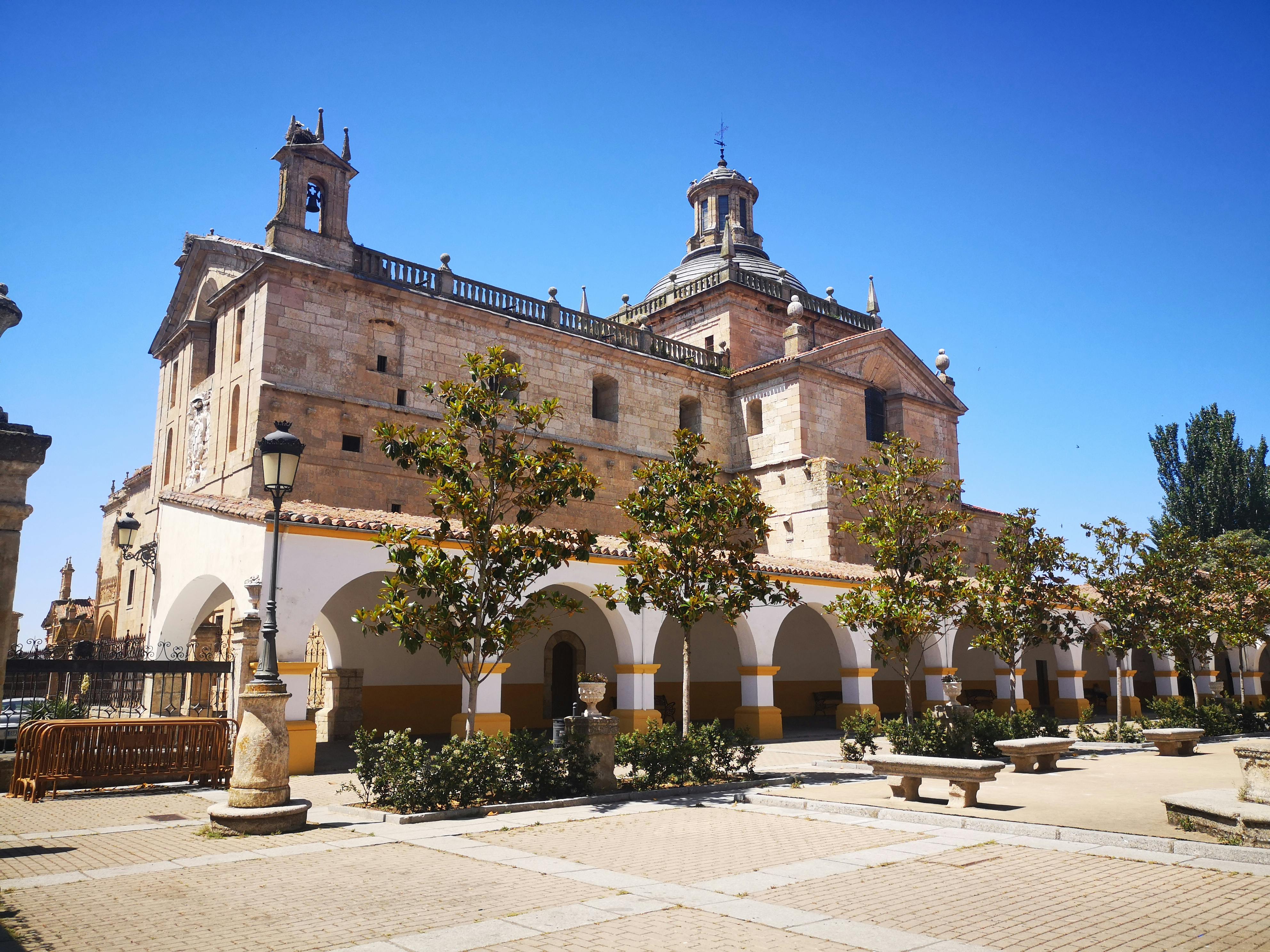 pexels-photo-33669072.jpeg?auto=compress&cs=tinysrgb&h=650&w=940