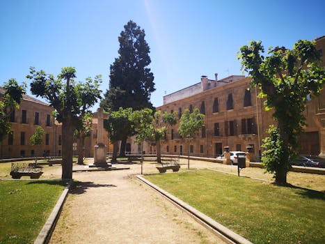 Sunny courtyard in a historic European square with lush trees and stone buildings.