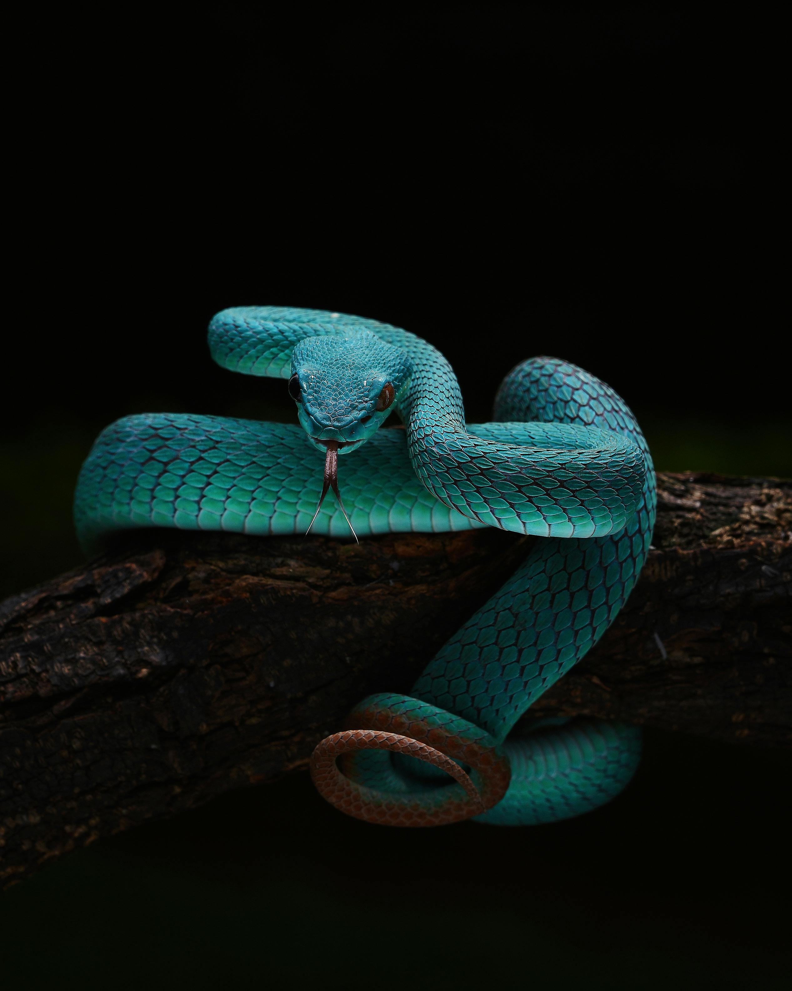 Agile Methodology: Scrum