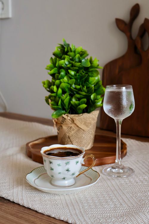 Free Charming coffee and water glass beside a lush green plant. Perfect for lifestyle content. Stock Photo