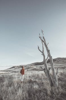 一位孤独的旅行者站在晴朗的天空下，身旁是一棵枯树，四周是广阔而荒凉的风景