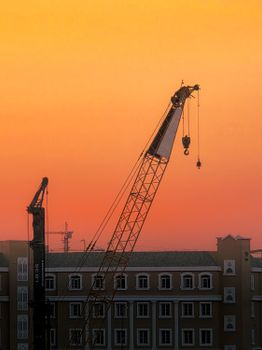 Silhouette of cranes against a vivid sunset in Dubai, creating a stunning cityscape.