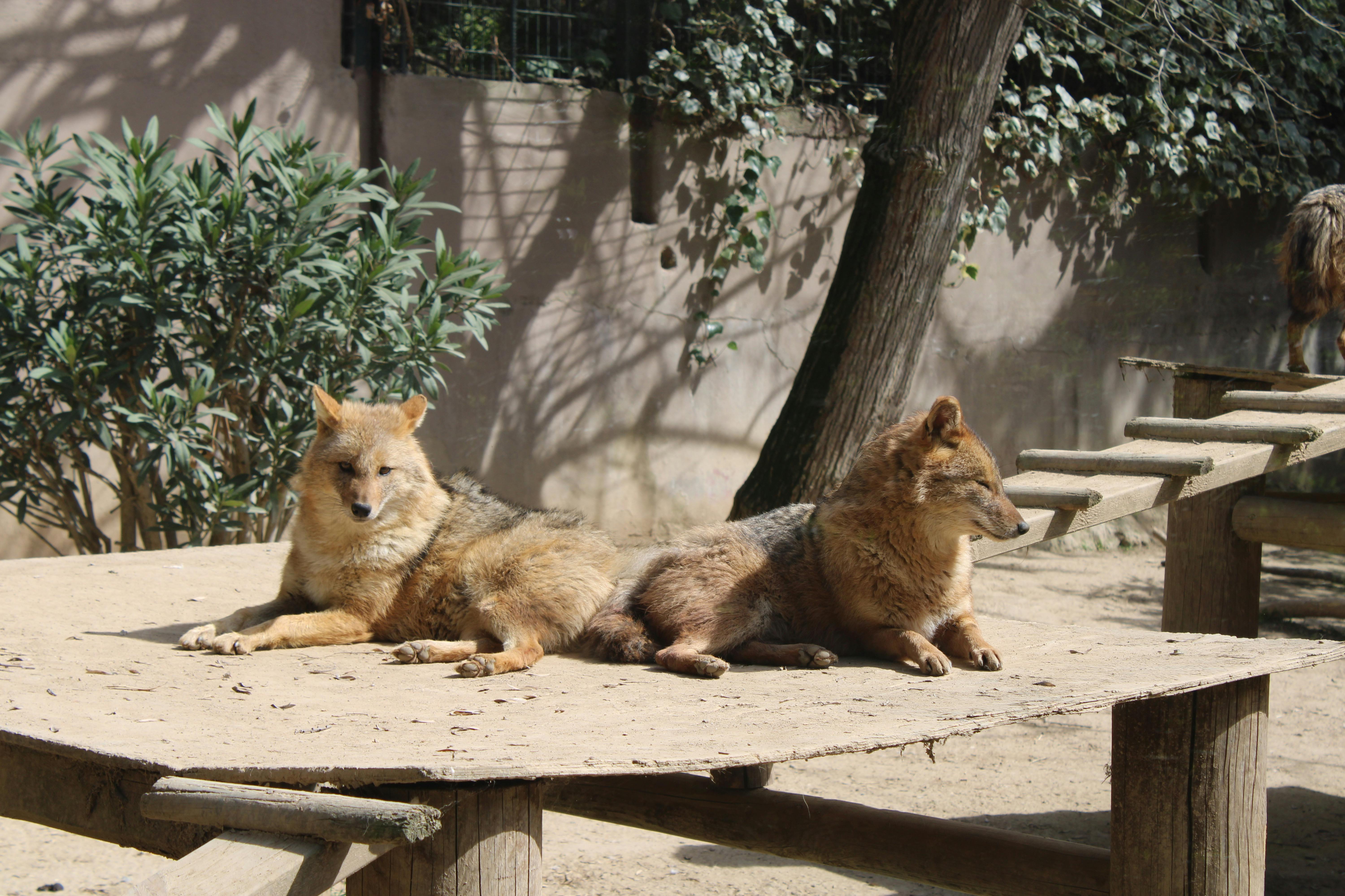 198.54.124.245 (rebahin)