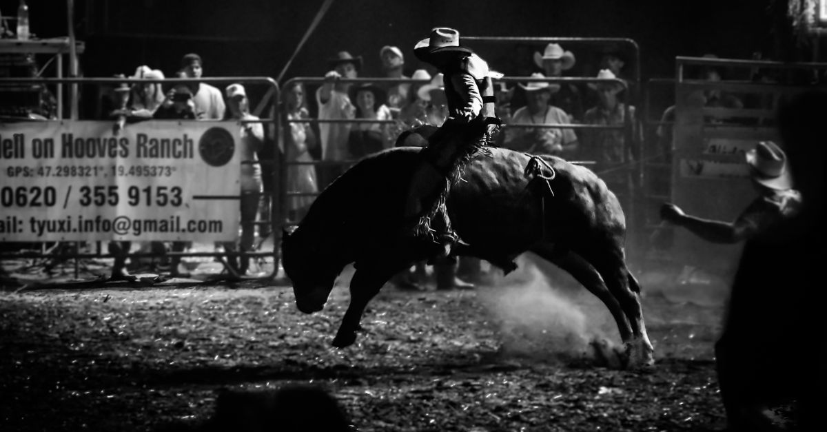 Two Nights, One Arena: What Makes the Wylie Championship Rodeo a Collin County Tradition