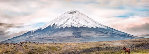 Gratis arkivbilde med cotopaxi, ecuador, fjell