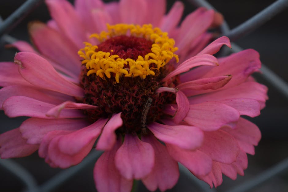 Chiba: El Epicentro del Umami en el "Chiba no Shoyu Gourmet Fair 2025" – Una Inmersión Profunda en la Cultura de la Salsa de Soja