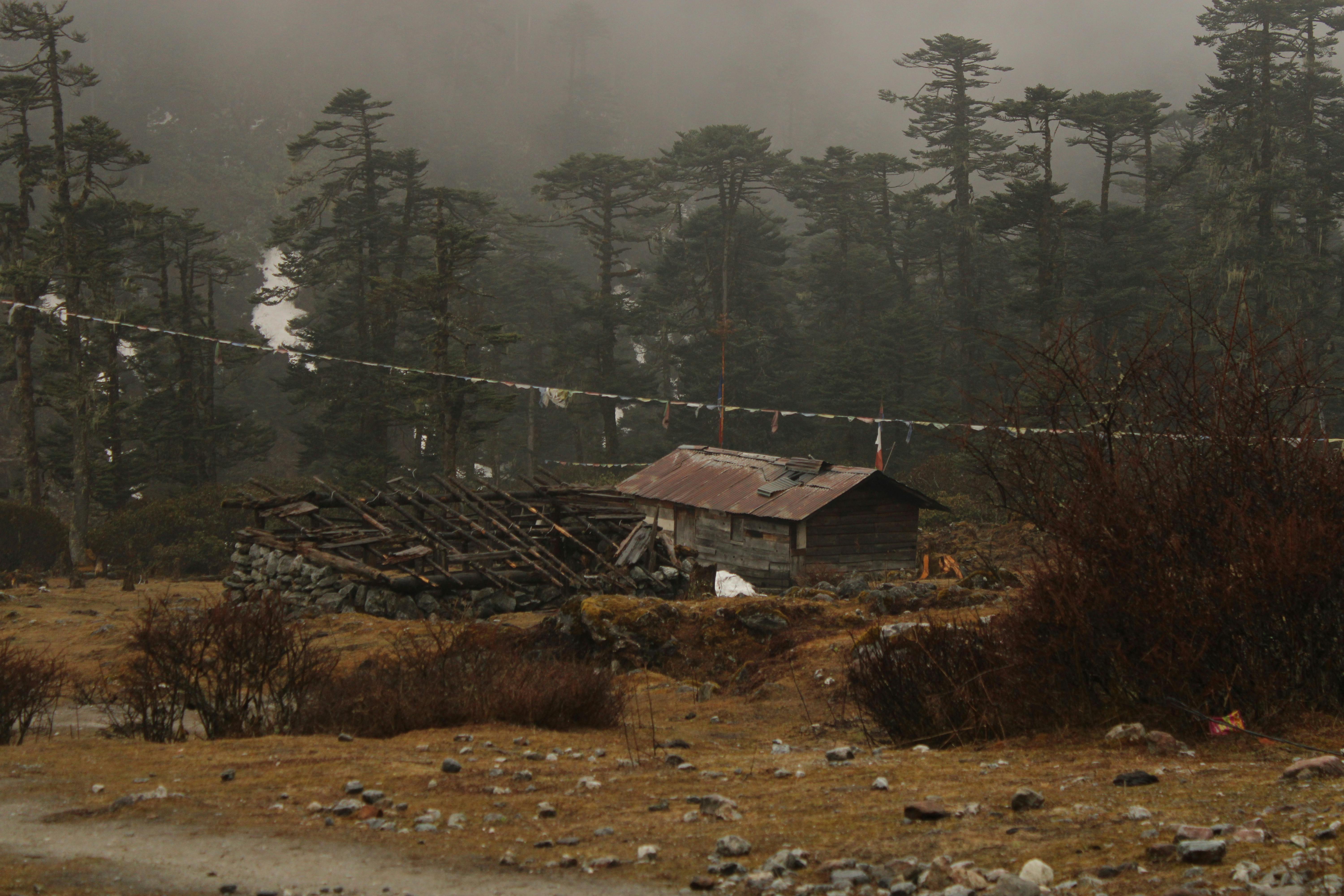 Unlocking Hidden Gems in the Esports Scene