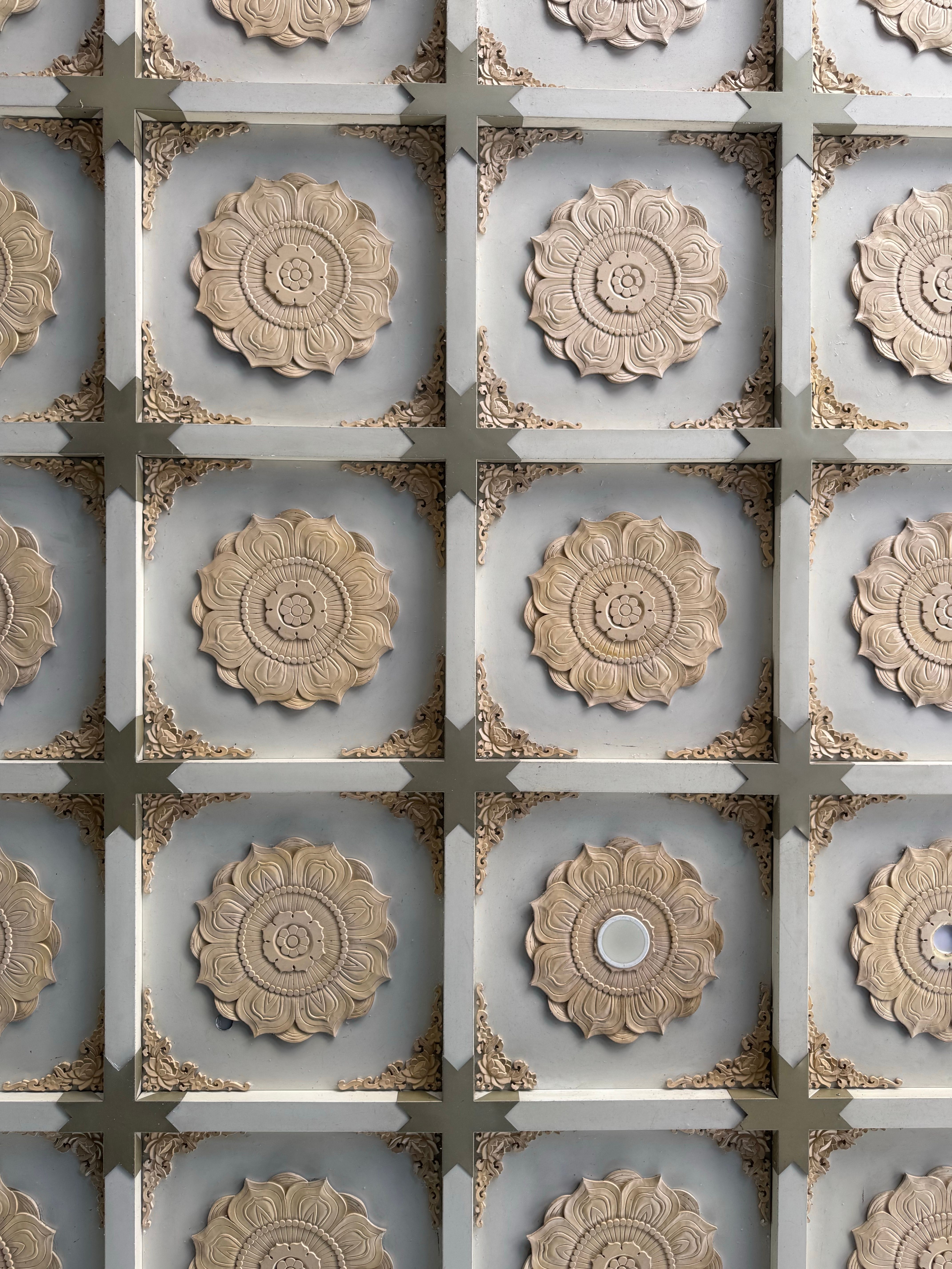 Ceiling Medallions & Architectural Detail