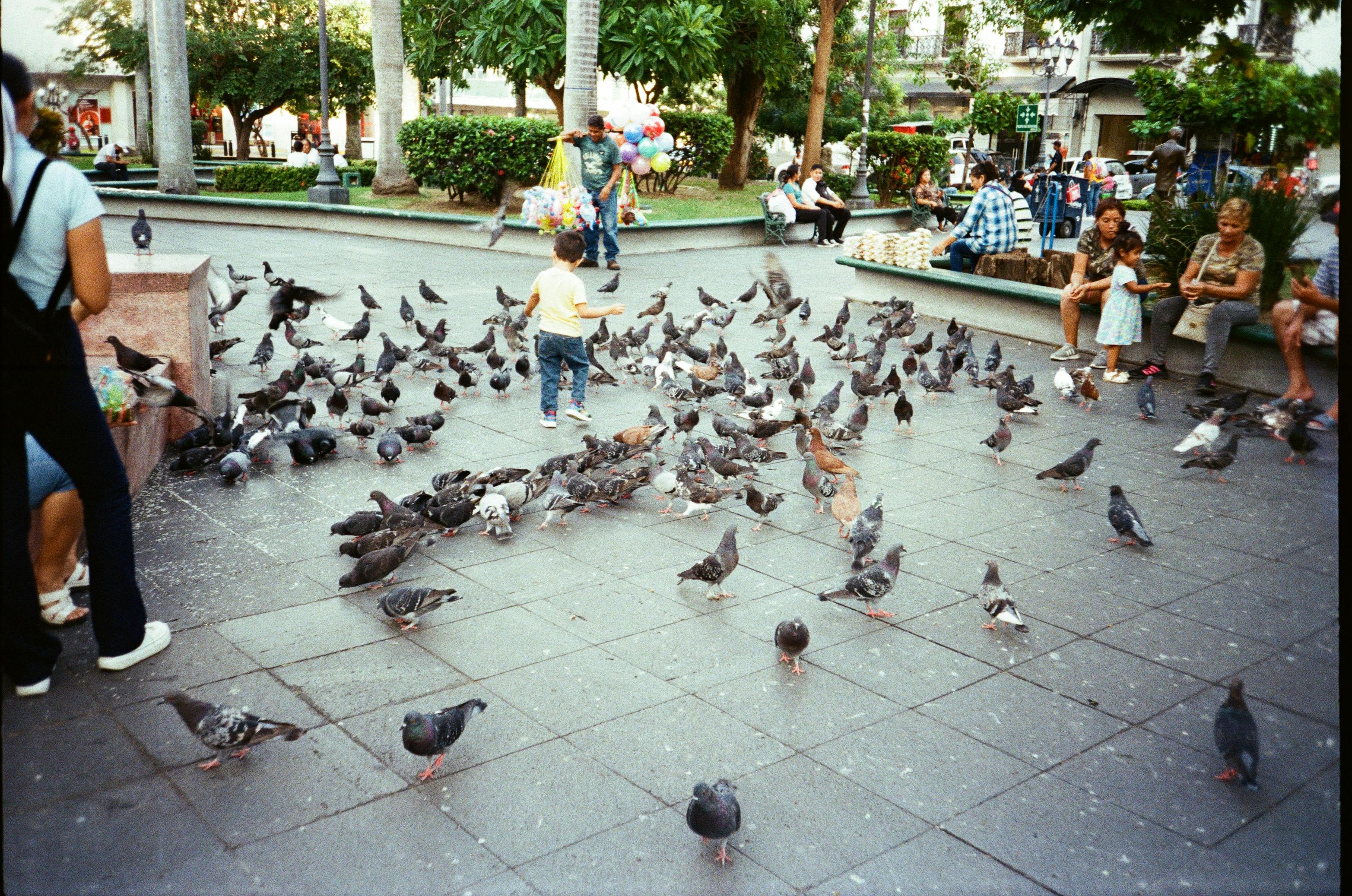 桃園中山國小多元文化齊聚 開啟孩子國際視野