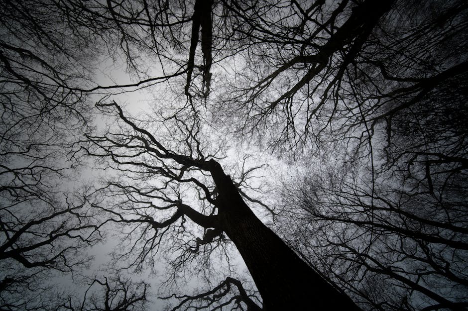 拾月山房:森林系民宿的自然饗宴與舒適體驗 拾月山房:森林系民宿的自然饗宴與舒適體驗