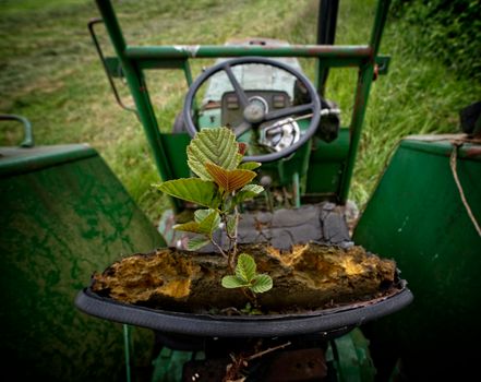 An abandoned tractor overgrown with plants in a green field in Drenthe, Netherlands.
