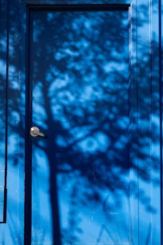 A silhouette of tree branches creates artistic shadows on a blue door.