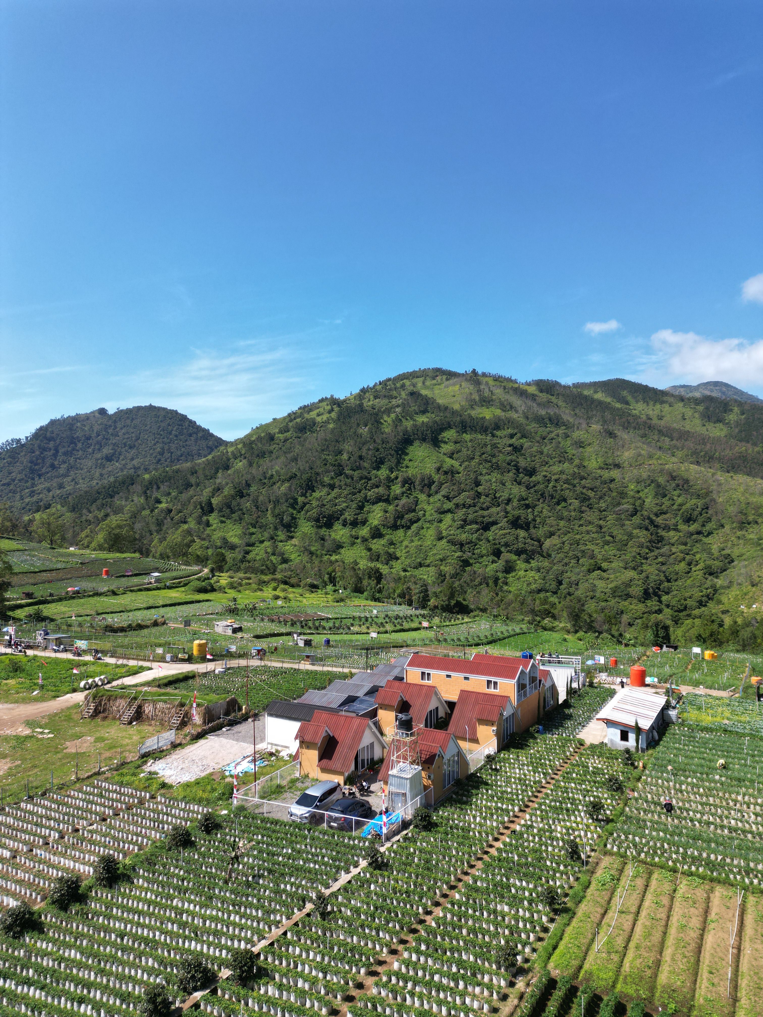 Aerial View of Lush Green Farm with Mountain Backdrop