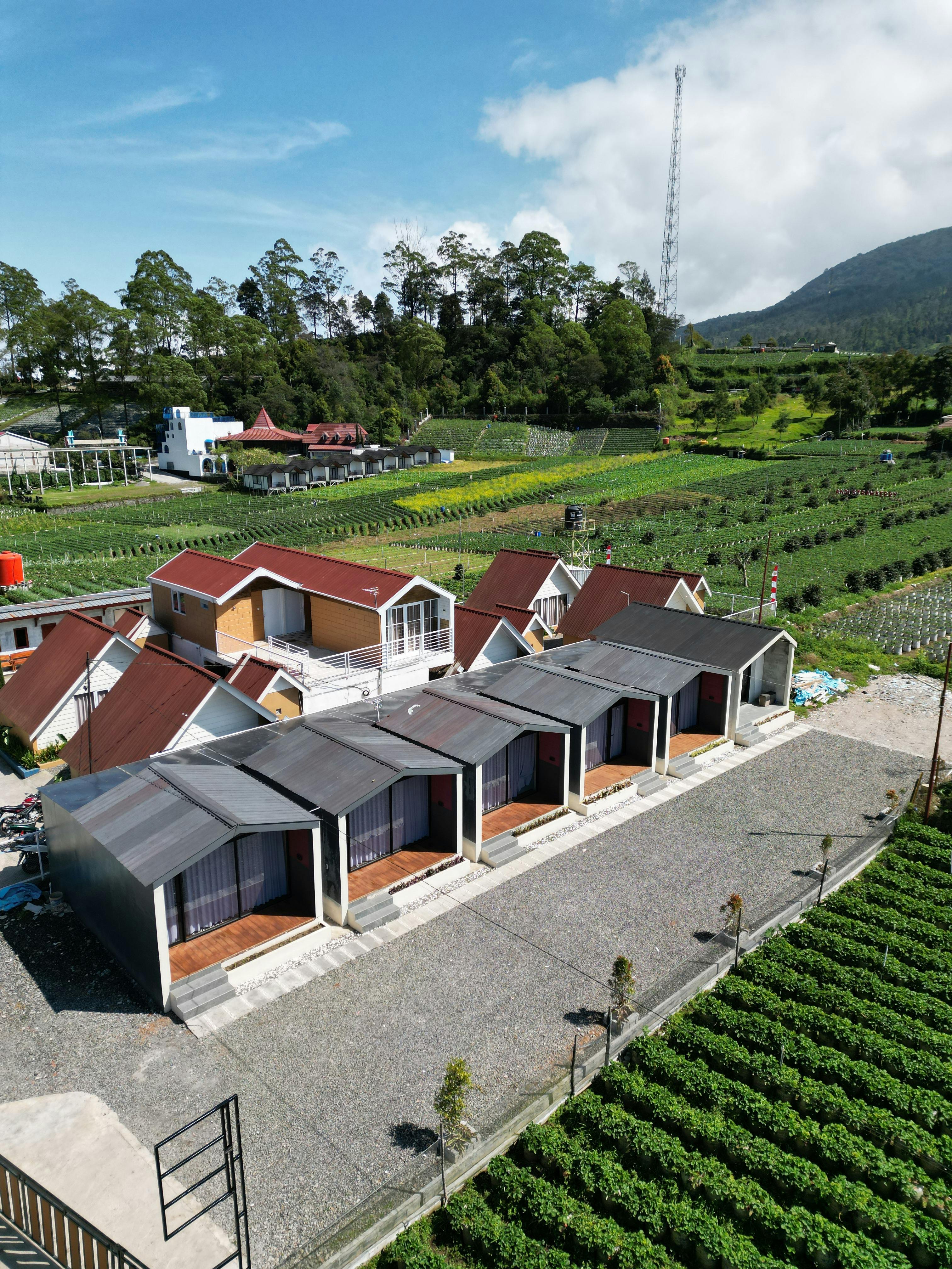 Sustainable Tourism in Mulu