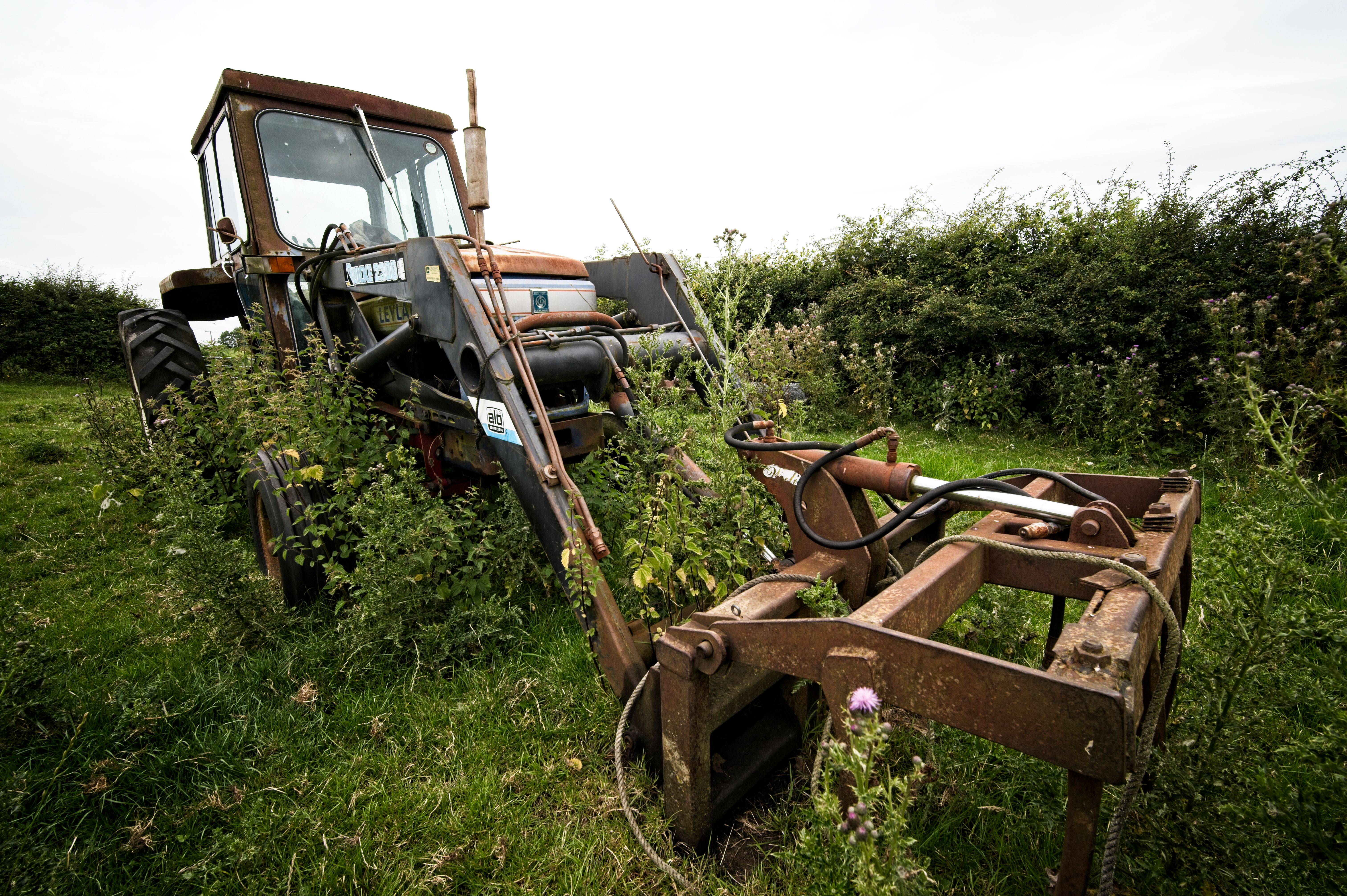 Thrapston — house clearance team loading furniture into a van