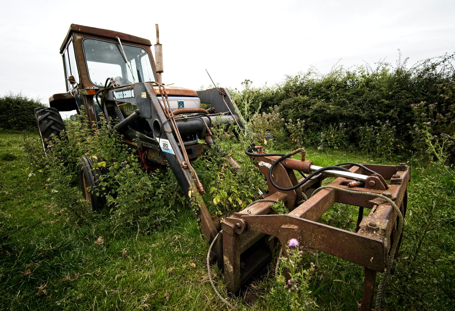 Thrapston — house clearance team loading furniture into a van