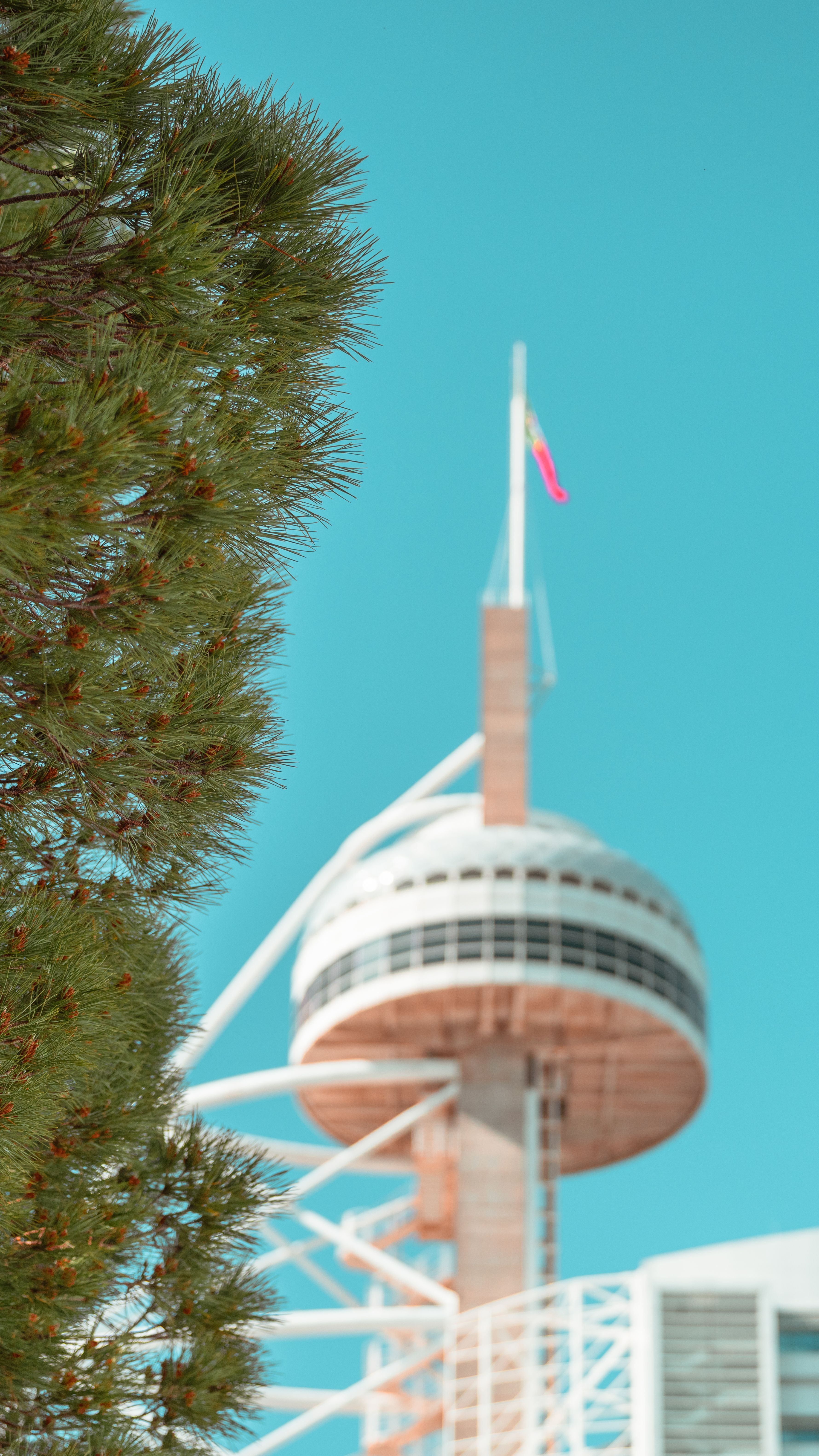 A captivating view of Vasco da Gama Tower in Lisbon with a vibrant blue sky and green pine tree.