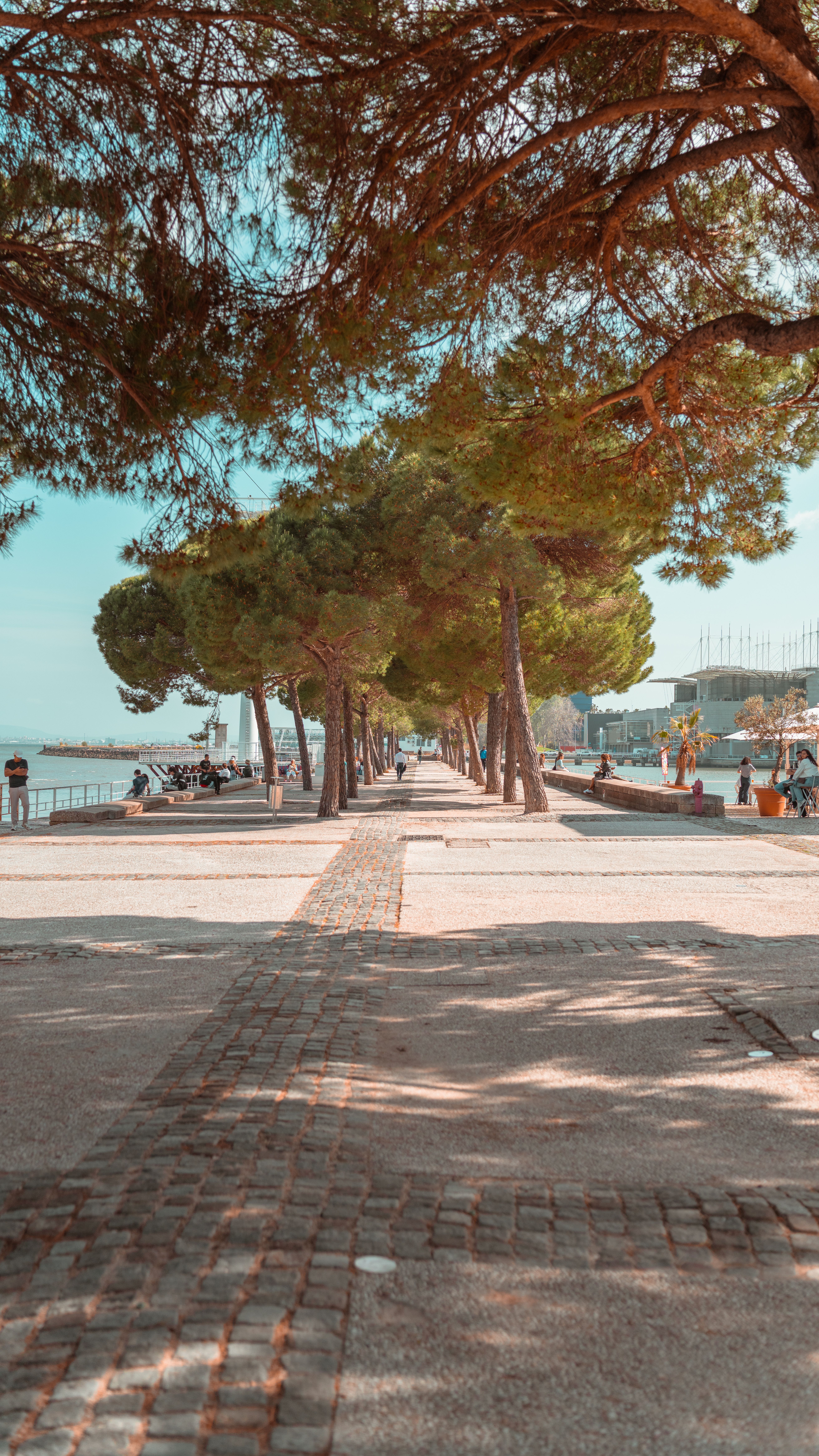 Fotomural Fotolia
