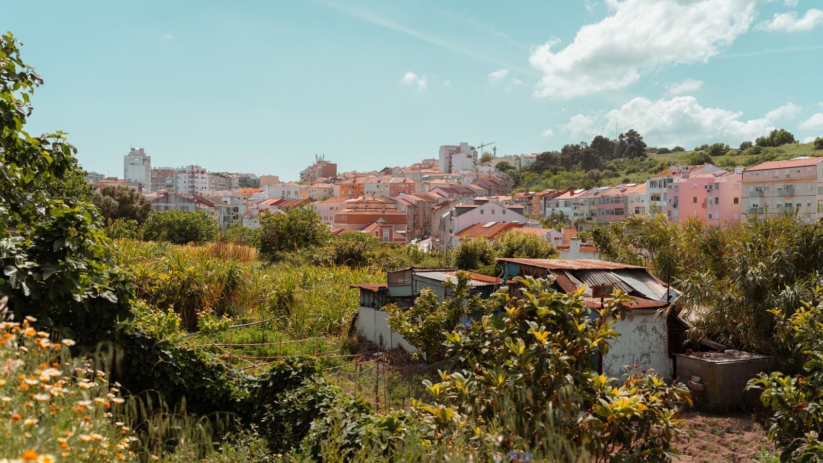 Climb almost anywhere in Lisbon and the city opens up beneath you.