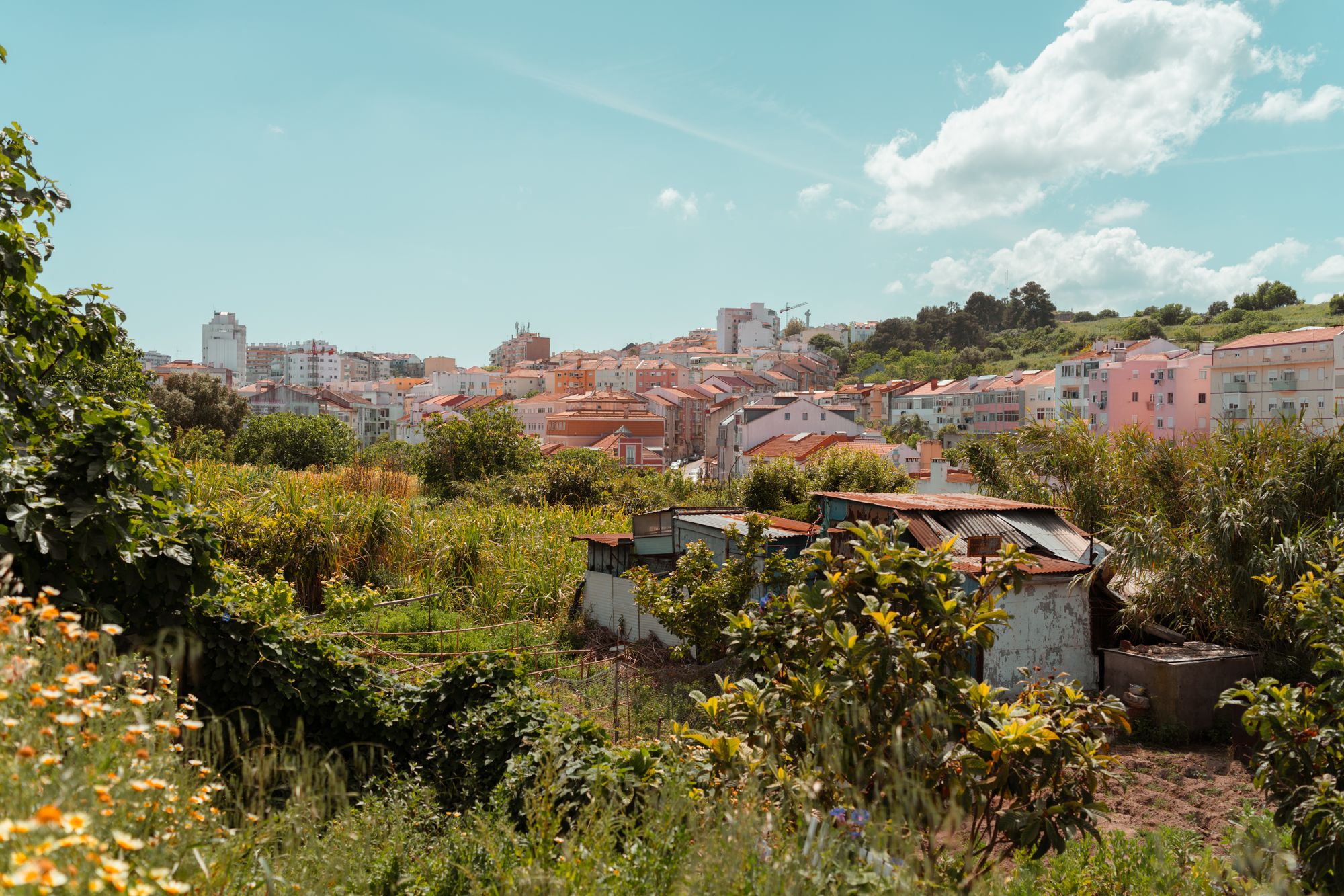Queluz