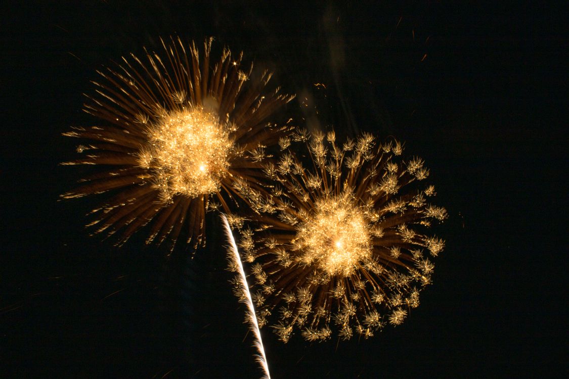 Free Vibrant fireworks burst against a deep black night sky, capturing a festive celebration. Stock Photo
