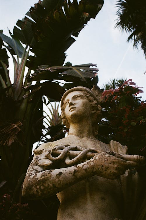 Estatua Del Hombre De Pie Cerca De La Planta De Banano Verde