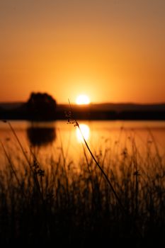 Golden sunset casting a warm glow over a calm lake with silhouetted grass in the foreground.