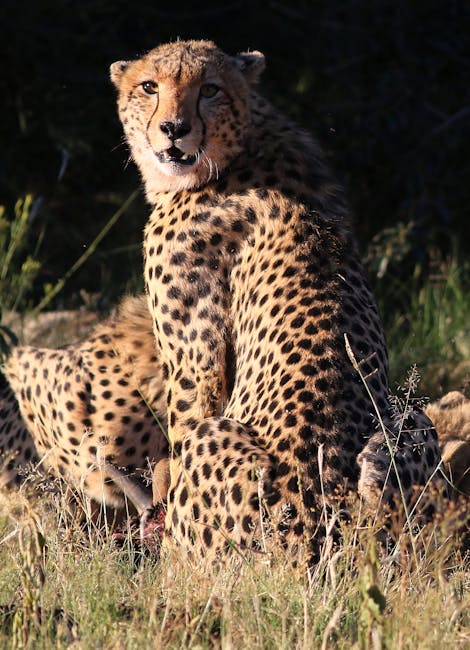 What to Expect on a Typical Safari Day What to Expect on a Typical Safari Day