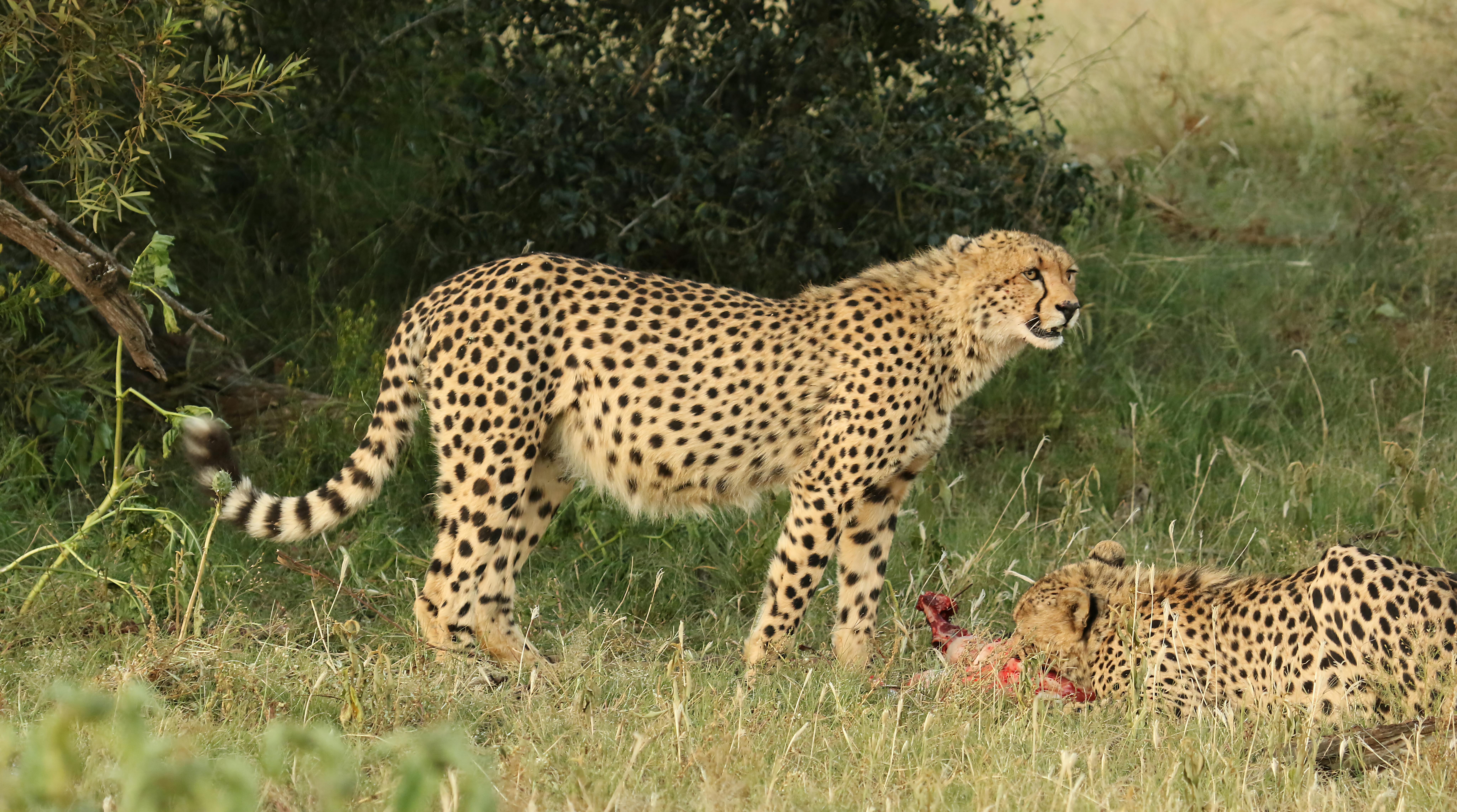 Hidden Diet Hacks That Supercharge Brain Performance